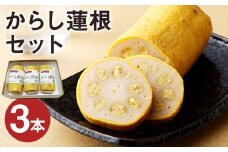 からし蓮根 セット 約280g×3本 からし 蓮根 れんこん 揚げたて《90日以内に出荷予定(土日祝除く)》