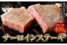 熊本県産 黒毛和牛 サーロイン ステーキ 計400g（100g×4）《90日以内に出荷予定(土日祝除く)》 国産 牛肉 