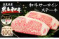 熊本県産 黒毛和牛 サーロイン ステーキ 計400g（200g×2） 国産 牛肉