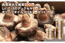 肉厚原木生椎茸 500g・しいたけのデュクセル 75g×2本・オリーブオイルマリネ 130g×1本 3種セット