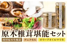 原木椎茸堪能セット 肉厚原木生椎茸 500g しいたけのデュクセル 2本 オリーブオイルマリネ 1本 合同会社 原田山業《90日以内に出荷予定(土日祝除く)》熊本県 菊池市 椎茸 しいたけ きのこ 肉厚 デュクセル オリーブオイル マリネ 瓶詰め セット 詰め合わせ
