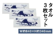 タオル 3枚 セット【90日以内に出荷予定（土日祝除く）】 st-p