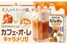 常温保存可能 カフェオレ キャラメリゼ 250ml×24本 1ケース 合同会社たべたせいか《30日以内に出荷予定(土日祝除く)》熊本県 菊池市 コーヒー牛乳 カフェ・オ・レ キャラメル 乳飲料 乳性飲料 らくのうマザーズ ドリンク 飲み物 飲料 セット 紙パック