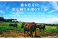 熊本県産 黒毛和牛 焼肉用 モモ・ウデ 合計800g 牛 肉
