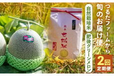【2回定期便】つるたファームから旬のお届け便 Green （自然栽培米 5kg・肥後グリーンメロン 2玉） お米 米 精米 白米 ごはん ご飯 ヒノヒカリ 果物 くだもの 果物 メロン グリーンメロン