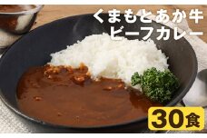 熊本県産あか牛使用 くまもとあか牛 ビーフカレー 30人前 合計4800g 1食160g レトルト 湯煎《30日以内に出荷予定(土日祝除く)》 