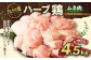 九州産 ハーブ鶏 ムネ肉 4.5kg 国産 鶏肉 むね肉 お肉