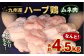 九州産 ハーブ鶏 ムネ肉 4.5kg 国産 鶏肉 むね肉 お肉