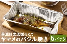 菊池川支流採れたてヤマメのバジル焼き  1尾75g×5尾 ヤマメ やまめ 魚