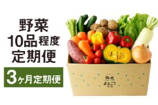 【定期便3回】 野菜 10品程度 詰め合わせ 3ヶ月 定期便 やさい 詰合せ セット【メロンドーム】【申込み翌月から出荷】