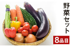 野菜 セット 8品 旬の野菜 やさい 詰合せ 詰め合わせ【養生市場】【90日以内に出荷予定（土日祝除く）】