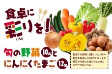 旬の野菜とたまごのセットメロンドーム 野菜 卵 にんにくたまご 卵 詰め合わせ 有限会社七城町特産品センター《30日以内に出荷予定(土日祝除く)》熊本県 菊池市 セット 新鮮 国産 九州産 熊本県 菊池市 道の駅 旬 送料無料