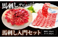 馬刺し入門セット 合計200g 2種類 セット 霜降り100g ロース100g 有限会社七城町特産品センター《90日以内に出荷予定(土日祝除く)》熊本県 菊池市 馬肉 馬刺し 食べ比べ 詰め合わせ ブロック 冷凍 送料無料