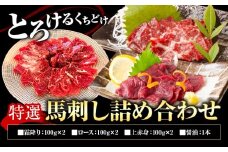特選馬刺し詰め合わせ Eセット 合計600g 3種類 セット 霜降り100g×2 上赤身100g×2 ロース100g×2 醤油1本付き 有限会社七城町特産品センター《90日以内に出荷予定(土日祝除く)》熊本県 菊池市 馬肉 馬刺し 食べ比べ ブロック 冷凍 送料無料