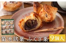 菊池銘菓 ふくさ栗 1箱（9個入り）《90日以内に出荷予定(土日祝除く)》
