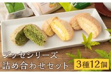 菊池銘菓 ブッセシリーズ詰め合わせセット 1箱(12個入り)《90日以内に出荷予定(土日祝除く)》