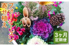 【定期便3回】フォーシーズン お花の寄せ植え【お申込み翌月から出荷】