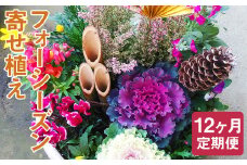【定期便12回】フォーシーズン お花の寄せ植え【お申込み翌月から出荷】