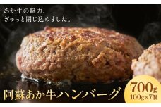 阿蘇あか牛ハンバーグ 700g 100g × 7個 株式会社LARKS《30日以内に出荷予定(土日祝除く)》ハンバーグ あか牛 牛肉 熊本県 冷凍 送料無料