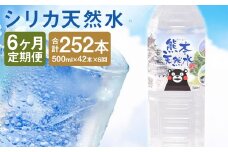 【定期便6回】シリカ天然水 500ml×42本《お申込み月の翌月から出荷開始》