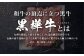くまもと黒毛和牛 杉本本店 黒樺牛 A4~A5等級 肩ローススライス 350g×2 合計700g
