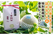七城の恵みまるごと詰め合わせＡ(特別栽培米 2kg・春風レッドメロン 1玉)【2026年5月上旬～5月下旬発送予定】