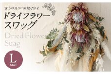 【ホワイト系】ドライフラワースワッグ Lサイズ【90日以内に出荷予定（土日祝除く）】 st-p