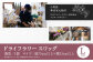 【ホワイト系】ドライフラワースワッグ Lサイズ