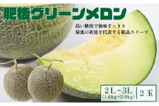 肥後グリーンメロン (大) 2L～3Lサイズ 2玉【2025年5月上旬～6月下旬発送予定】