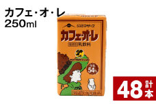 カフェ・オ・レ 250ml 計48本 st-p