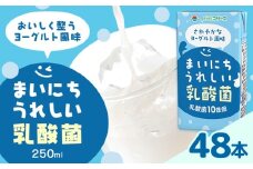 常温保存可能 まいにちうれしい 乳酸菌 ヨーグルト風味 250ml×48本 合同会社たべたせいか《30日以内に出荷予定(土日祝除く)》熊本県 菊池市 紙パック ヨーグルト飲料 乳酸菌 ドリンク 飲み物 飲料 常温保存 国産 熊本県産