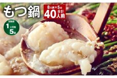 【1ヶ月毎5回定期】菊池市産・熊本県産和牛使用 ぷりぷりもつ鍋（8人前） モツ鍋【お申込み翌月から出荷】