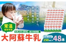 牛乳 常温保存可能 成分無調整 生乳100％使用 大阿蘇牛乳 紙パック 250ml×48本 合同会社たべたせいか《30日以内に出荷予定(土日祝除く)》熊本県 菊池市 牛乳 乳飲料 乳性飲料 ドリンク 飲み物 飲料 セット ロングライフ 熊本県産