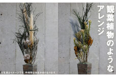 観葉植物のようなアレンジ 1個 ドライフラワー 植物 観葉植物 花 オシャレ インテリア 【90日以内に出荷予定（土日祝除く）】 st-p