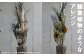 観葉植物のようなアレンジ 1個 