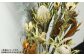観葉植物のようなアレンジ 1個 