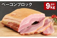 ベーコンブロック 約900g×10個 計約9kg ベーコン ブロック 豚肉【90日以内に出荷予定（土日祝除く）】