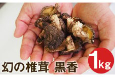 幻の椎茸 黒香 1kg 希少品種の乾燥椎茸 しいたけ きのこ