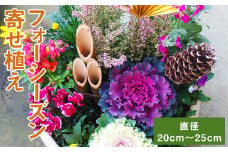 フォーシーズン お花の寄せ植え 4～5種 花 フラワー 観葉植物 植物 インテリア【90日以内に出荷予定（土日祝除く）】