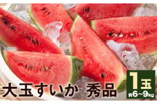 大玉すいか 秀品 1玉 約6kg～9kg 【2025年5月下旬-7月下旬頃発送予定】