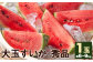 大玉すいか 秀品 1玉 約6kg?9kg