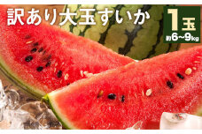 訳あり 大玉すいか 1玉 約6kg～9kg 【2025年5月下旬-7月下旬頃発送予定】