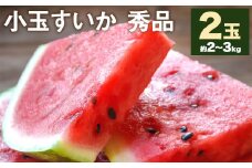 小玉すいか 秀品 2玉 約2～3kg 【2025年5月下旬-7月下旬頃発送予定】