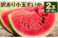 訳あり 小玉すいか 2玉  約2～3kg 【2025年5月下旬-7月下旬頃発送予定】