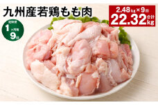【1ヶ月毎9回定期便】 九州産若鶏もも肉 計約22.32kg（約2.48kg×9回） 鶏肉 もも肉 お肉【お申込み翌月から出荷】