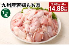 【1ヶ月毎6回定期便】 九州産若鶏もも肉 計約14.88kg（約2.48kg×6回） 鶏肉 もも肉 お肉【お申込み翌月から出荷】