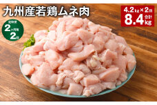 【2ヶ月毎2回定期便】 九州産若鶏ムネ肉 計約8.4kg（約4.2kg×2回） 鶏肉 ムネ肉 むね肉【お申込み翌月から出荷】