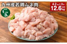 【1ヶ月毎3回定期便】 九州産若鶏ムネ肉 計約12.6kg（約4.2kg×3回） 鶏肉 ムネ肉 むね肉【お申込み翌月から出荷】