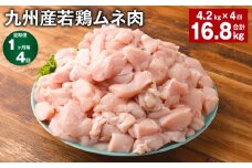 【1ヶ月毎4回定期便】 九州産若鶏ムネ肉 計約16.8kg（約4.2kg×4回） 鶏肉 ムネ肉 むね肉【お申込み翌月から出荷】