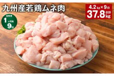 【1ヶ月毎9回定期便】 九州産若鶏ムネ肉 計約37.8kg（約4.2kg×9回） 鶏肉 ムネ肉 むね肉【お申込み翌月から出荷】
